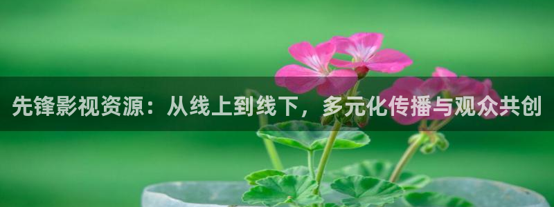 金牌影视官网入口：先锋影视资源：从线上到线下，多元化传播与观众共创