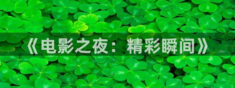 我可能遇到了救星金牌影院：《电影之夜：精彩瞬间》