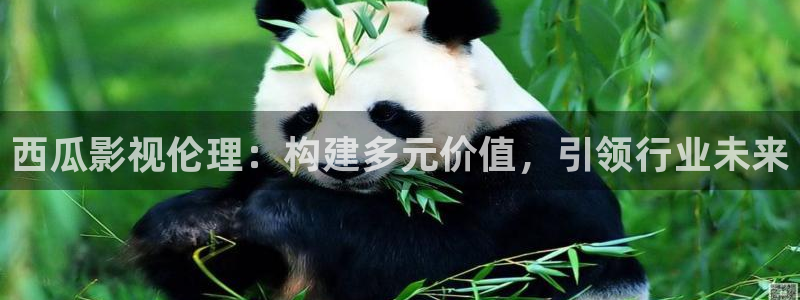金牌影院在线观看免费：西瓜影视伦理：构建多元价值，引领行业未来