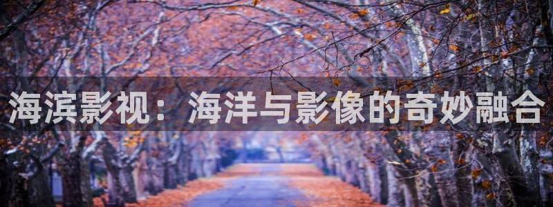 12金牌电影完整版：海滨影视：海洋与影像的奇妙融合