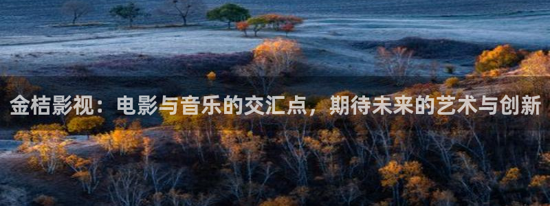金牌女仵作之阴阳法尺电影：金桔影视：电影与音乐的交汇点，期待未来的艺术与创新