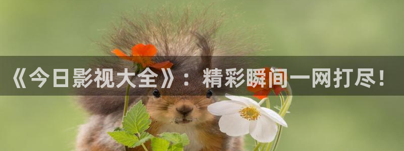 金牌影院电视剧免费看：《今日影视大全》：精彩瞬间一网打尽！